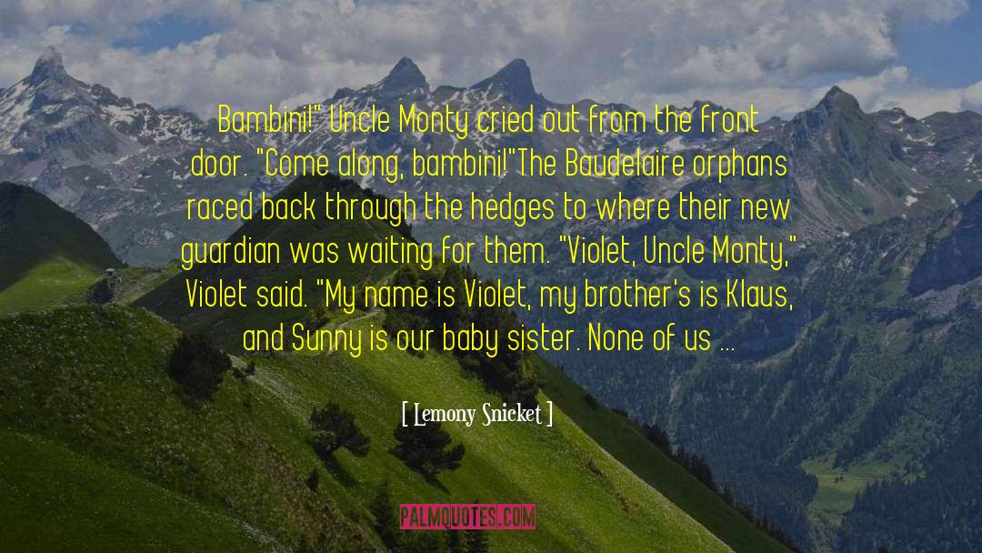 Bastardy And Baby quotes by Lemony Snicket