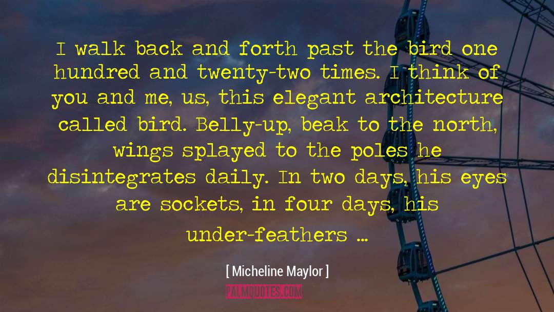 Bat Flight Times quotes by Micheline Maylor