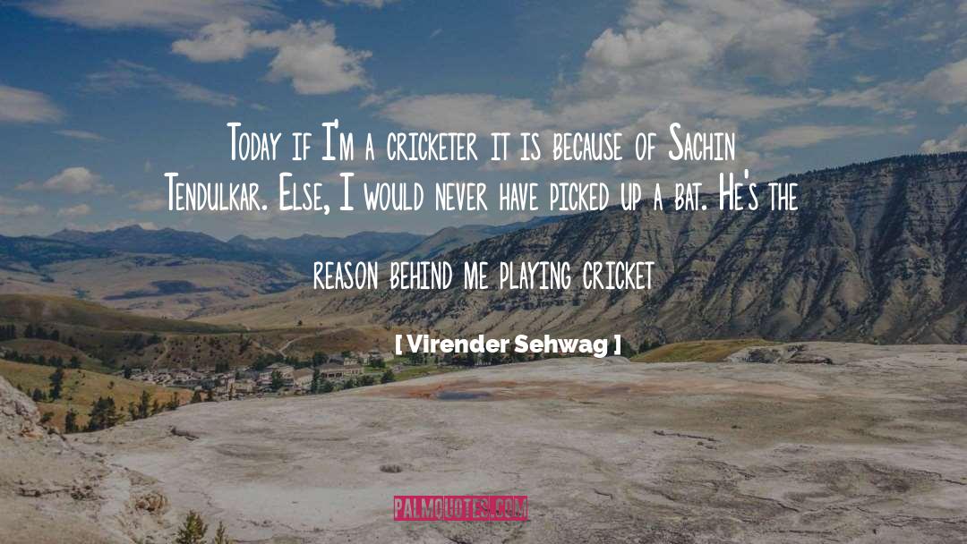 Bat quotes by Virender Sehwag