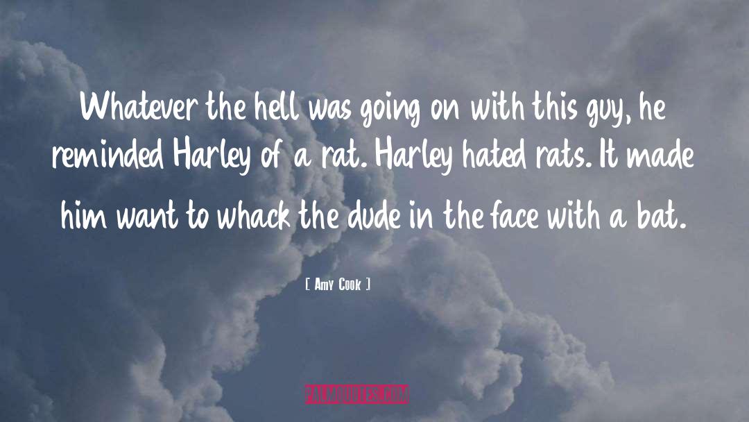 Bat quotes by Amy Cook