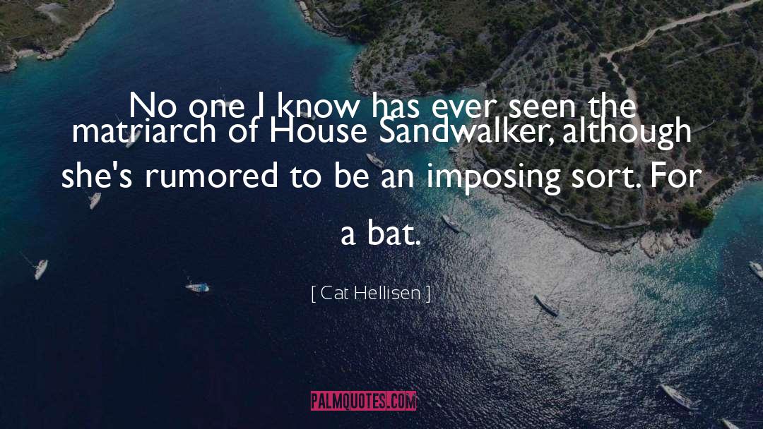 Bat Velasquez quotes by Cat Hellisen
