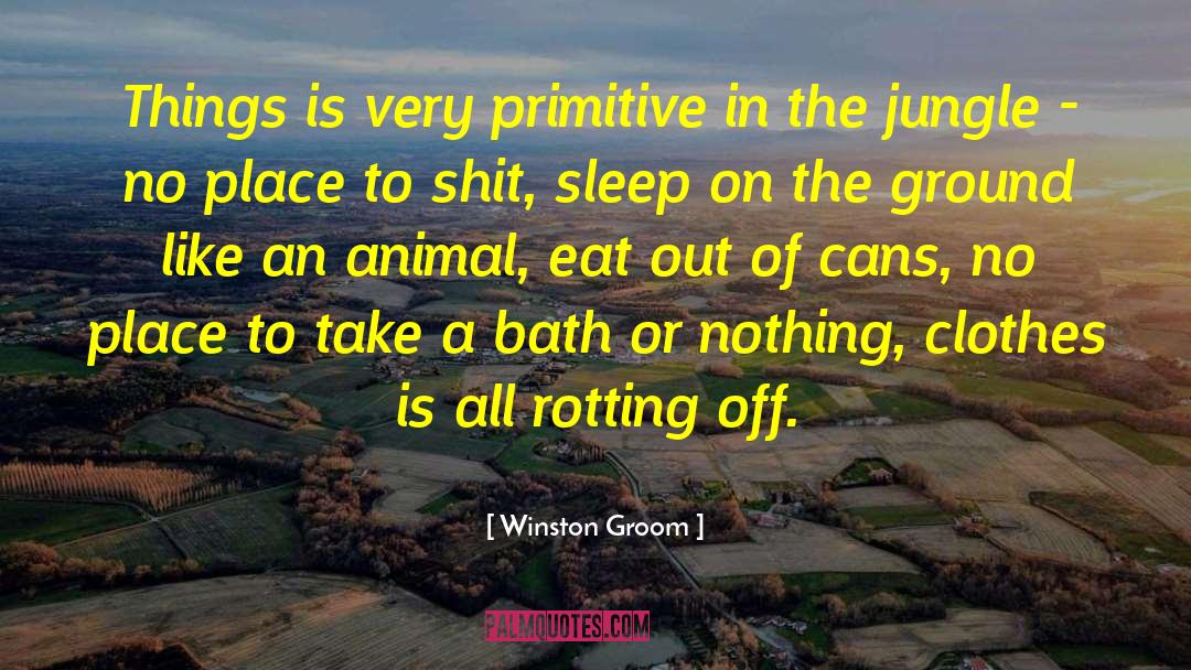 Bath Tubs quotes by Winston Groom