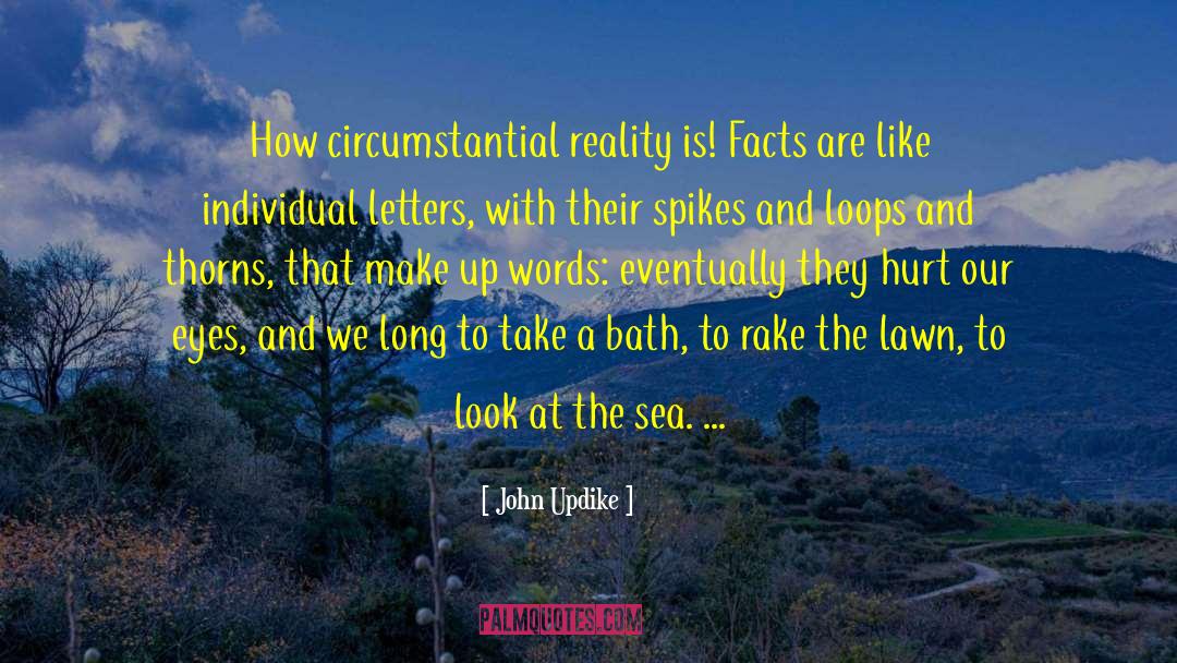 Bath Tubs quotes by John Updike