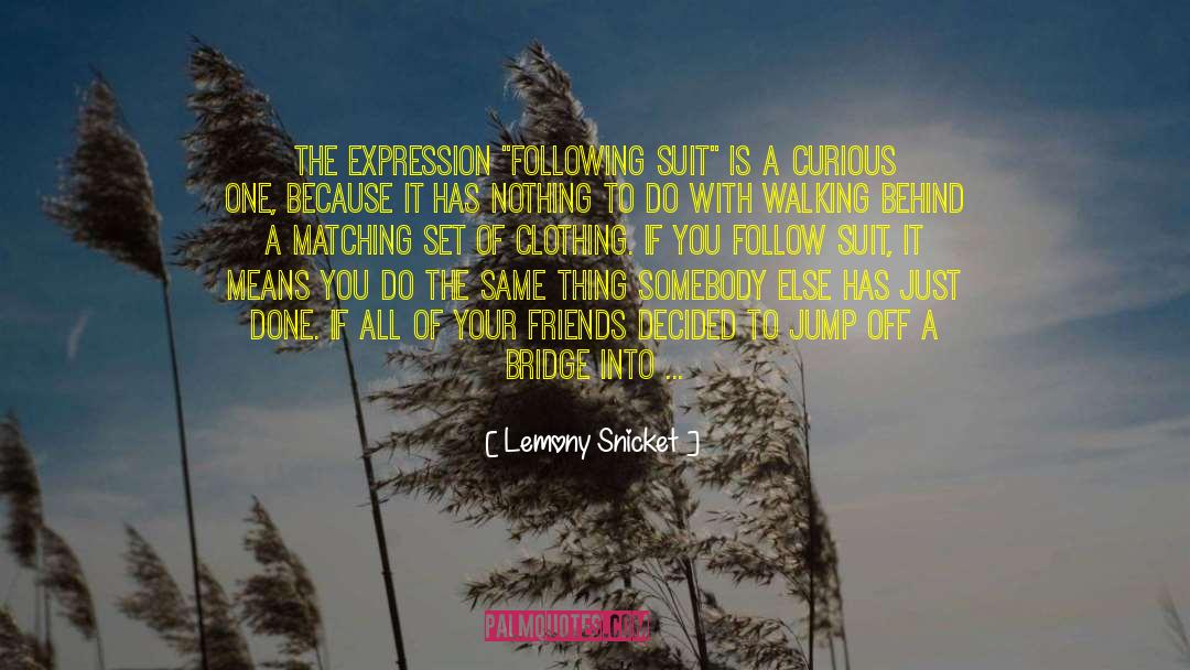 Bathing Suit quotes by Lemony Snicket