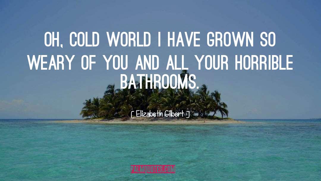Bathrooms quotes by Elizabeth Gilbert