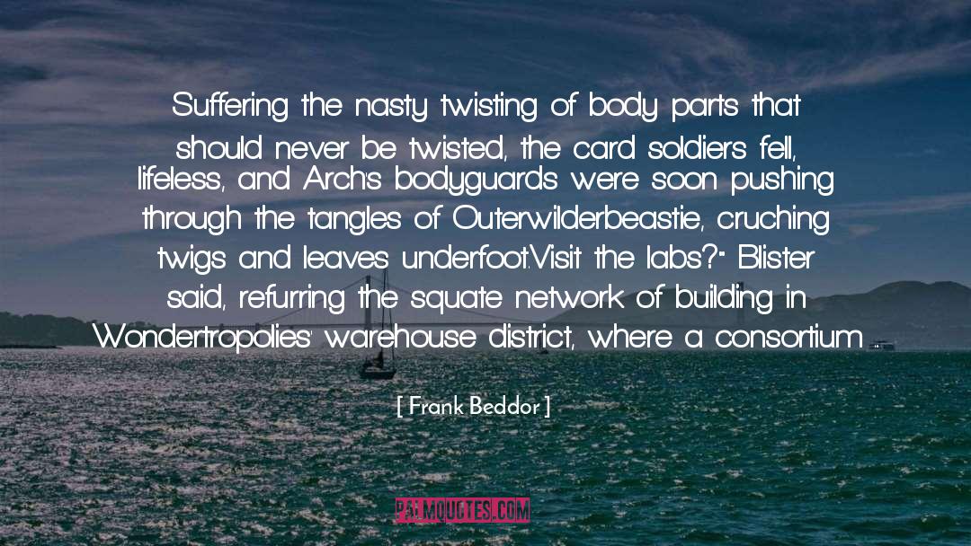 Baths quotes by Frank Beddor