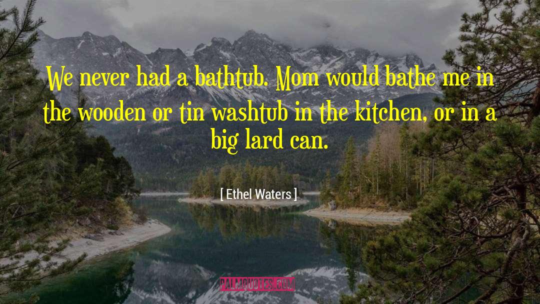 Bathtub quotes by Ethel Waters