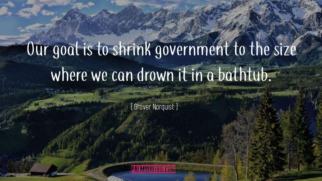 Bathtub quotes by Grover Norquist