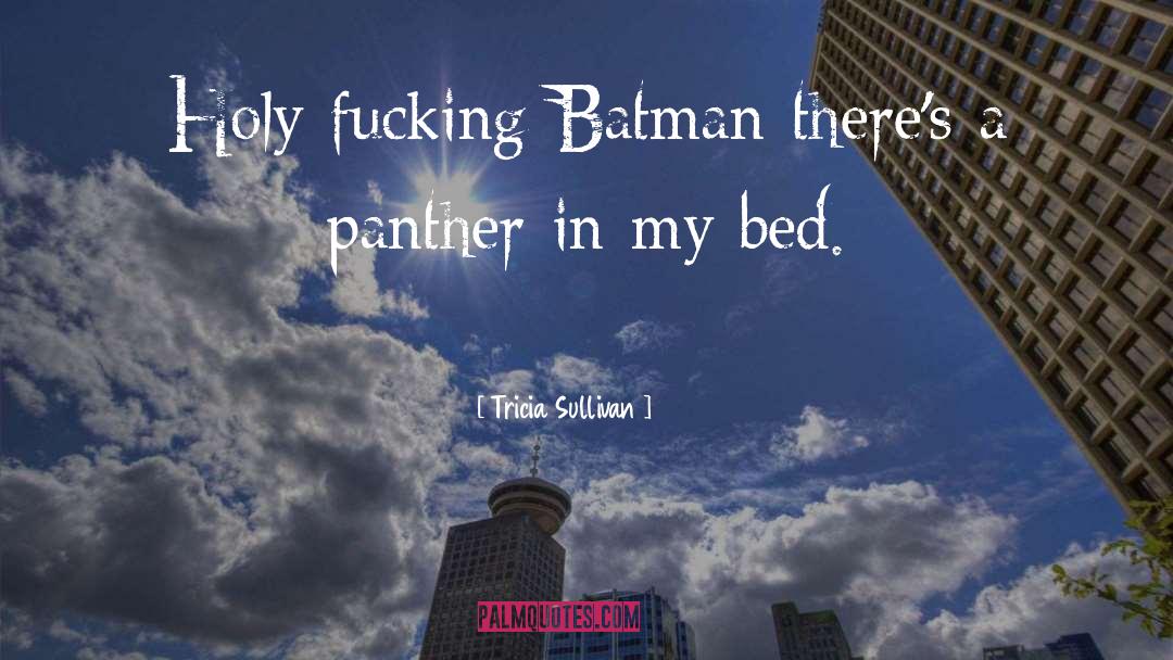 Batman 66 quotes by Tricia Sullivan