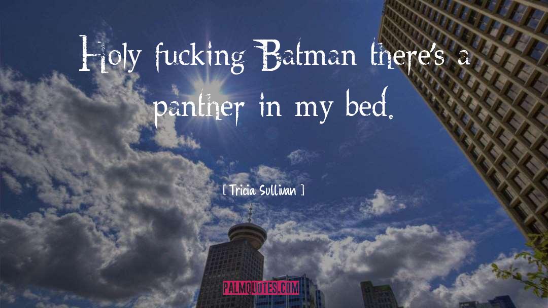 Batman Inuendos quotes by Tricia Sullivan