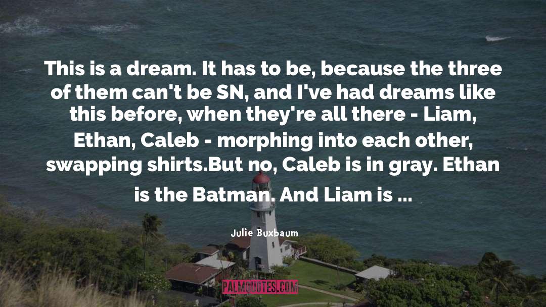 Batman quotes by Julie Buxbaum