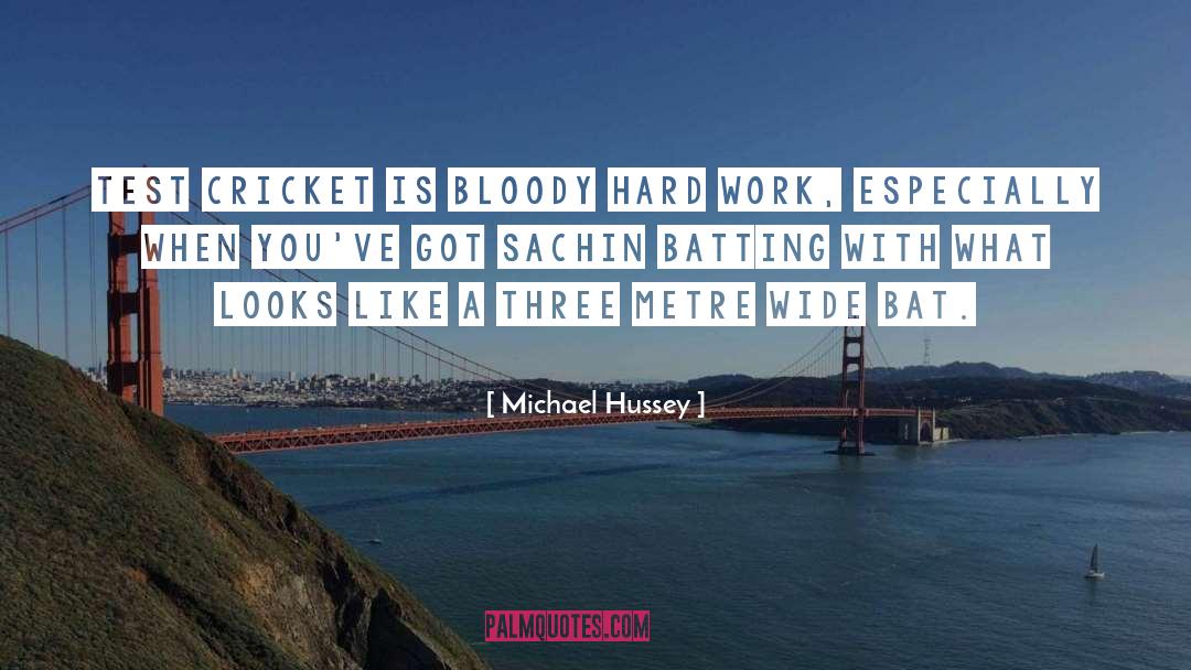 Batting quotes by Michael Hussey