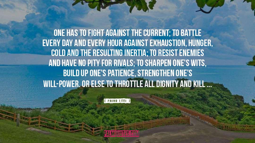 Battle Of Waterloo quotes by Primo Levi