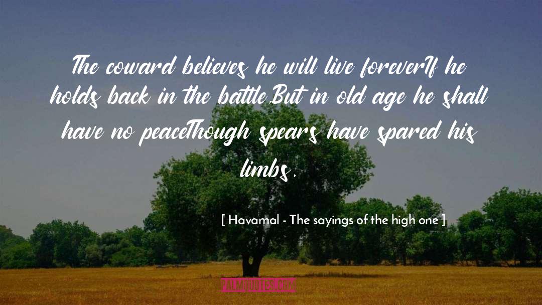 Battle Within quotes by Havamal - The Sayings Of The High One