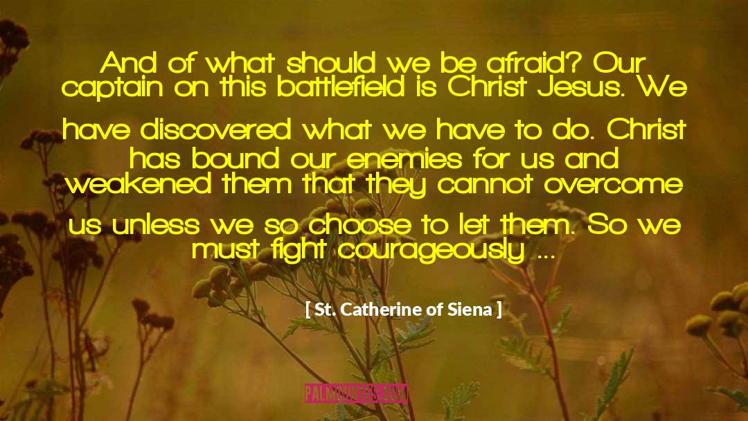 Battlefields quotes by St. Catherine Of Siena