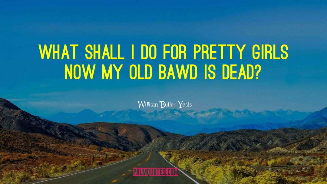 Bawd quotes by William Butler Yeats