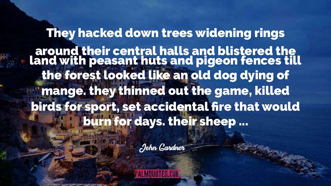 Bay Of Pigs quotes by John Gardner