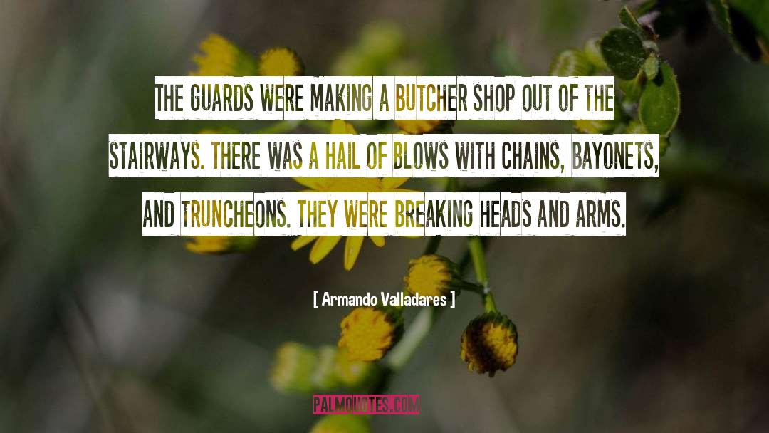 Bayonets quotes by Armando Valladares