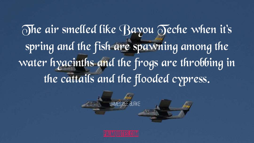 Bayou quotes by James Lee Burke