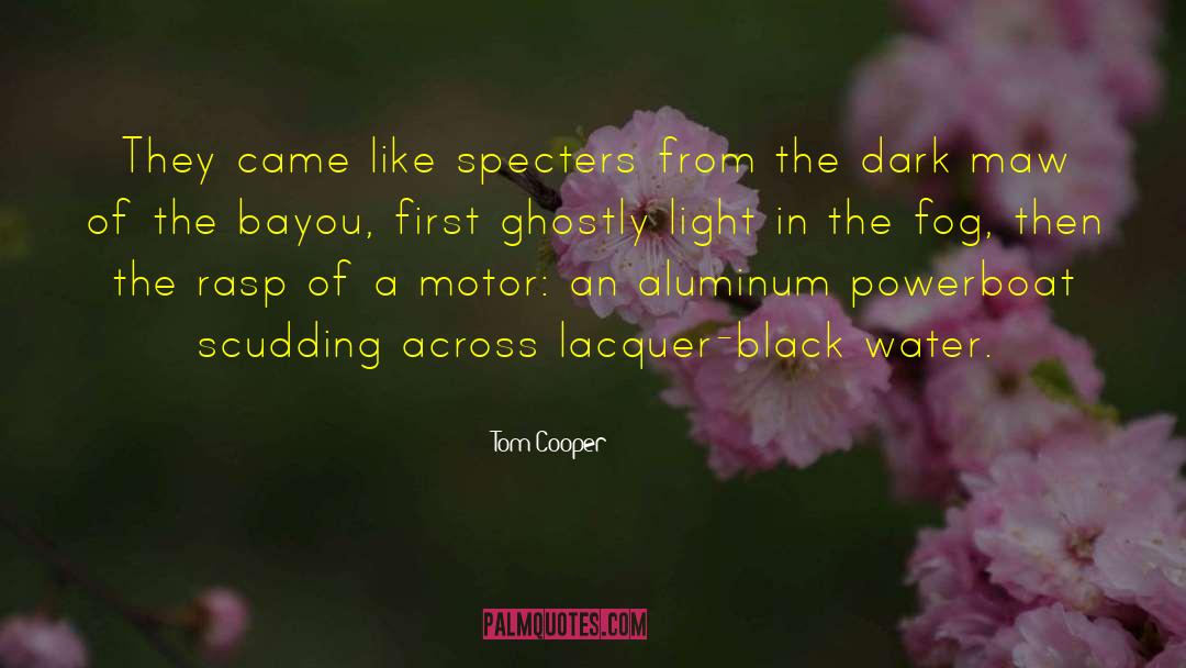 Bayou quotes by Tom Cooper