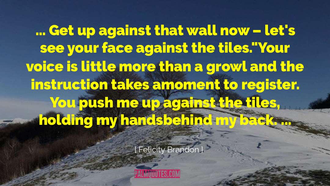 Bdsm Erotica quotes by Felicity Brandon