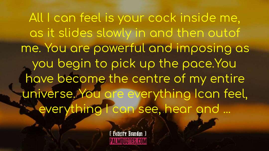 Bdsm Romance quotes by Felicity Brandon