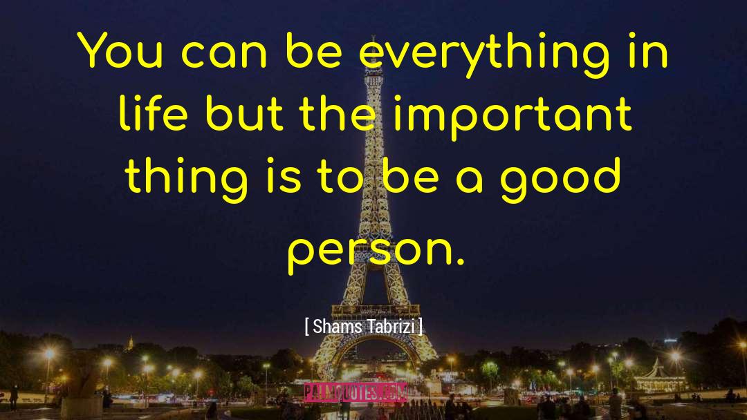 Be A Good Person quotes by Shams Tabrizi