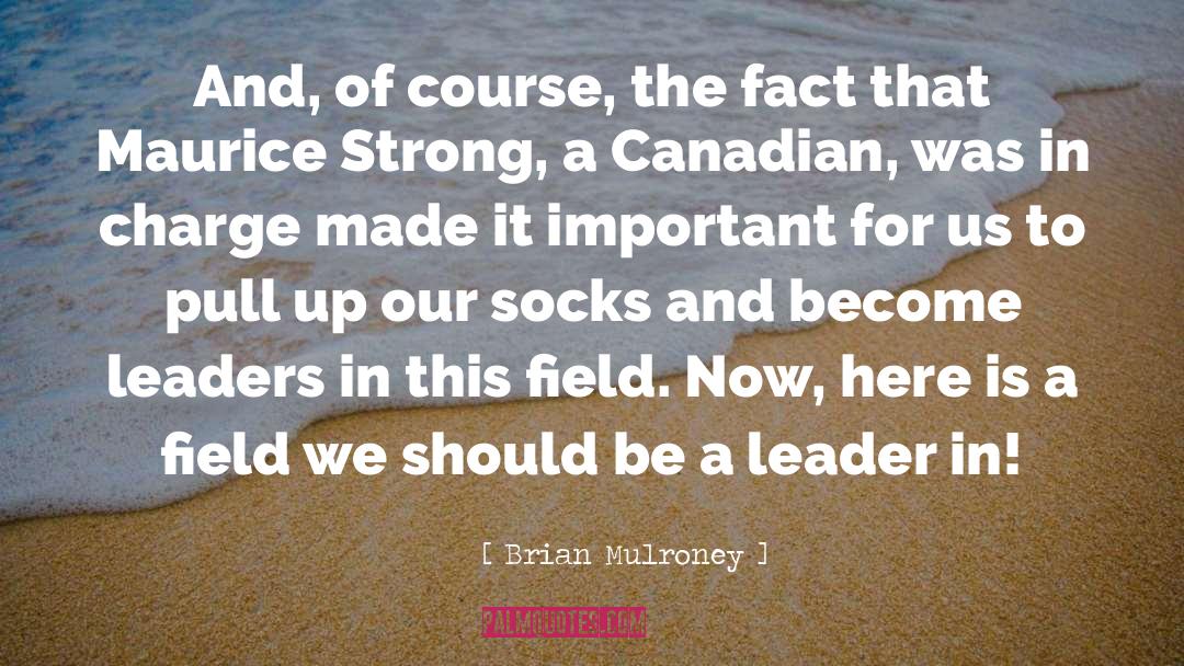 Be A Leader quotes by Brian Mulroney