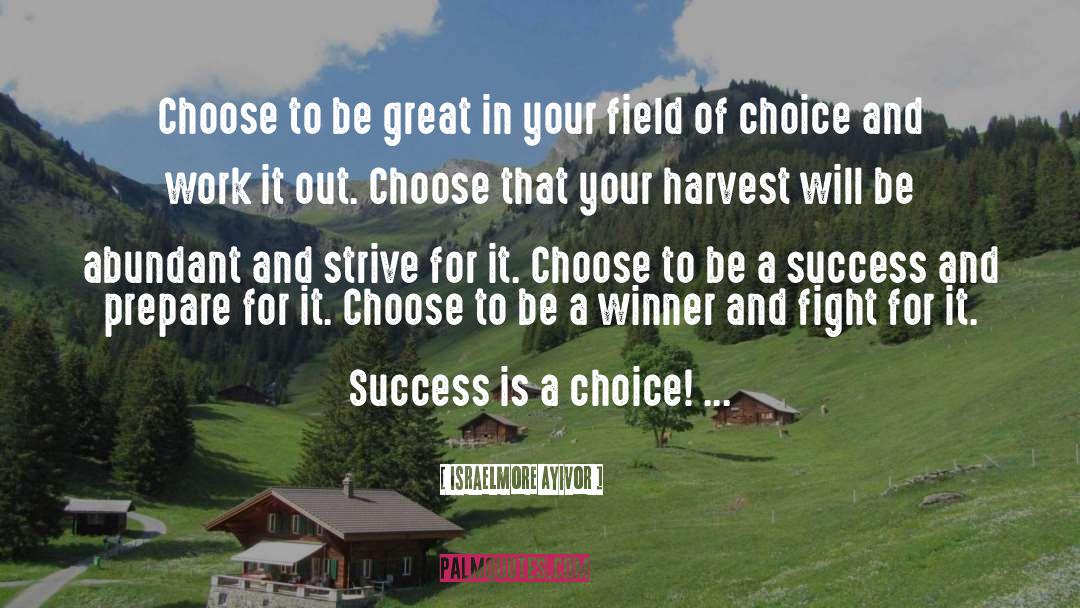 Be A Success quotes by Israelmore Ayivor