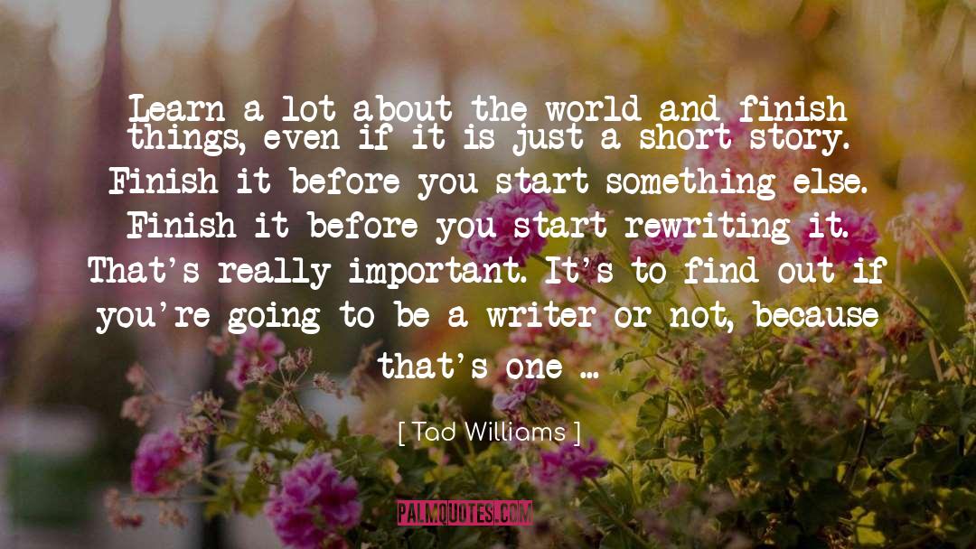 Be A Writer quotes by Tad Williams