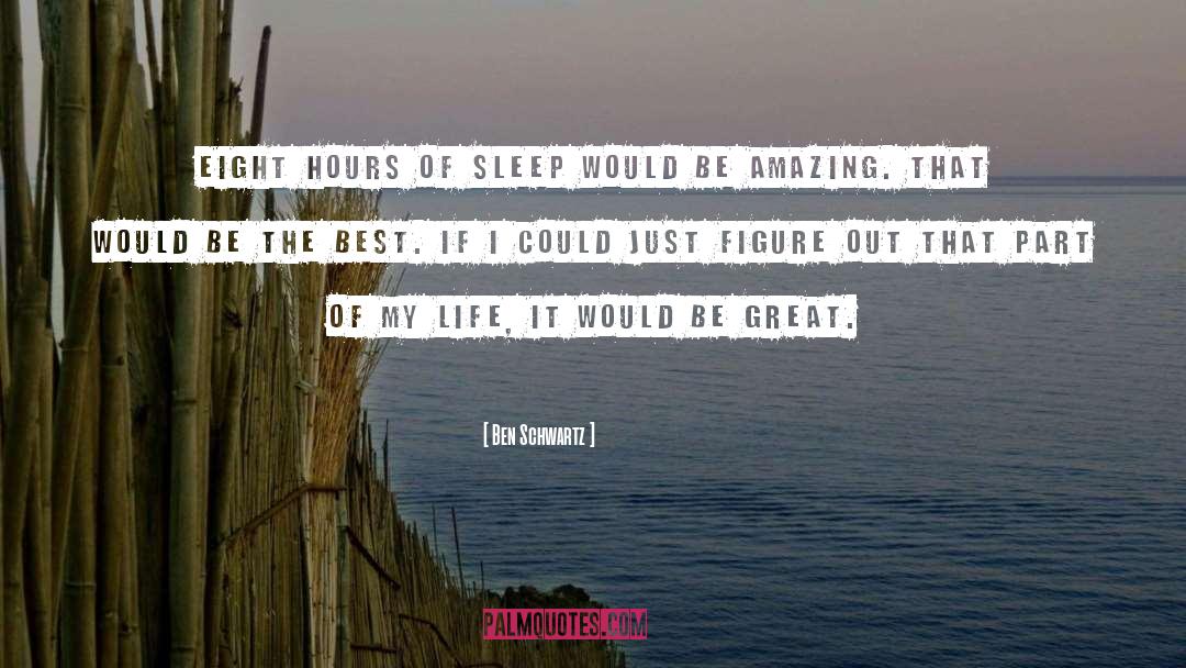 Be Amazing quotes by Ben Schwartz