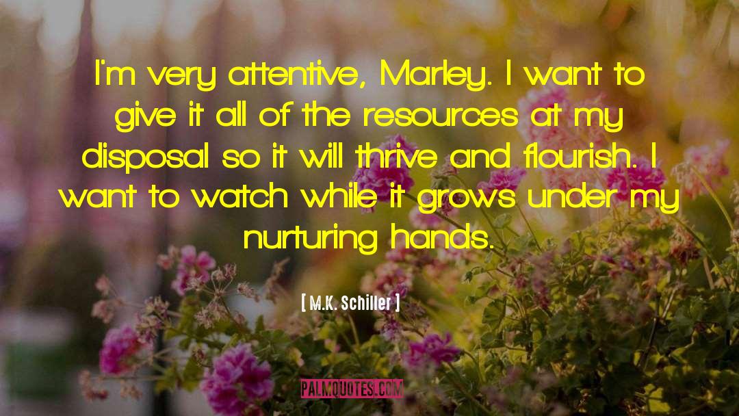 Be Attentive quotes by M.K. Schiller