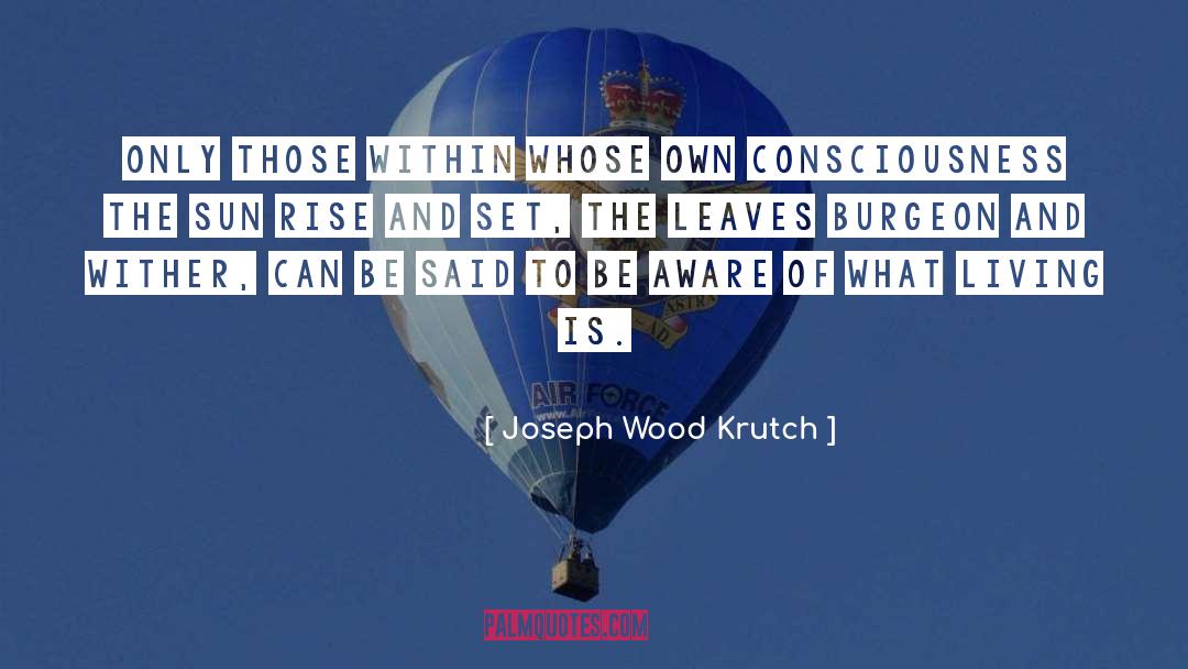 Be Aware quotes by Joseph Wood Krutch