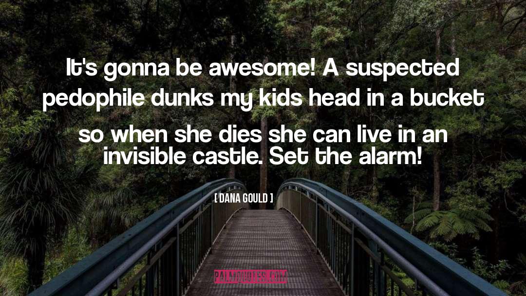 Be Awesome quotes by Dana Gould