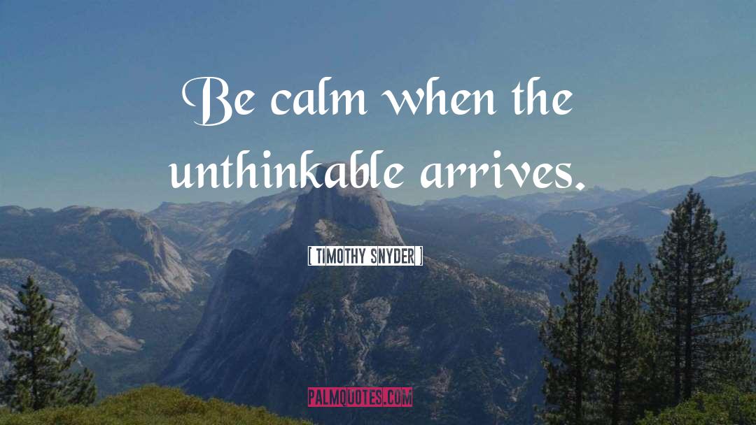 Be Calm quotes by Timothy Snyder