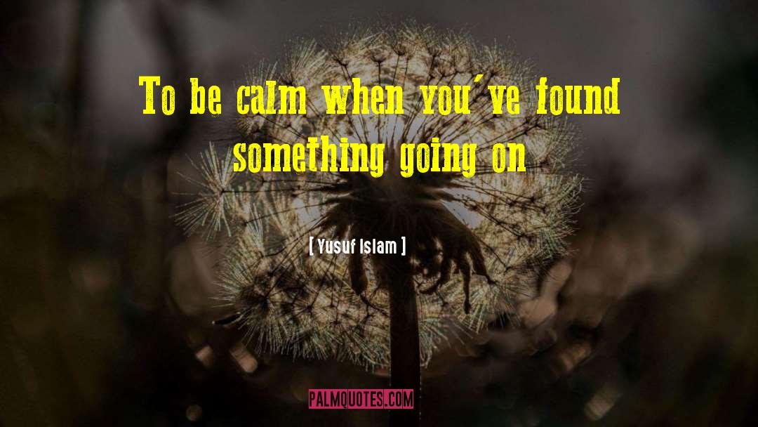 Be Calm quotes by Yusuf Islam