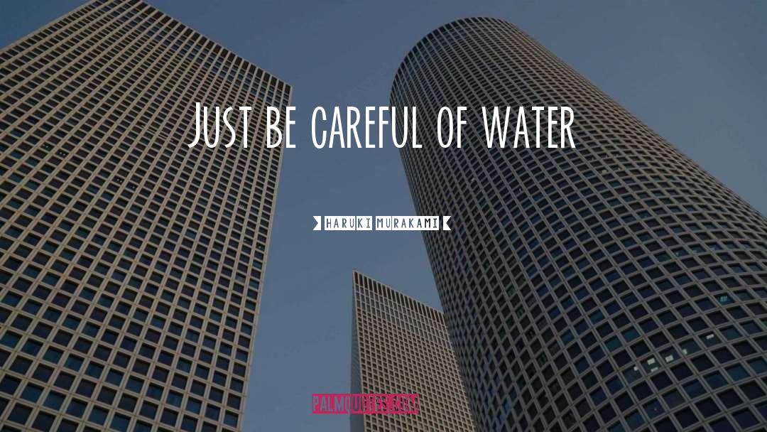 Be Careful quotes by Haruki Murakami