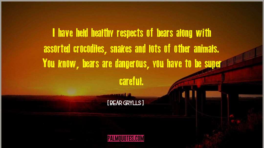 Be Careful With People quotes by Bear Grylls