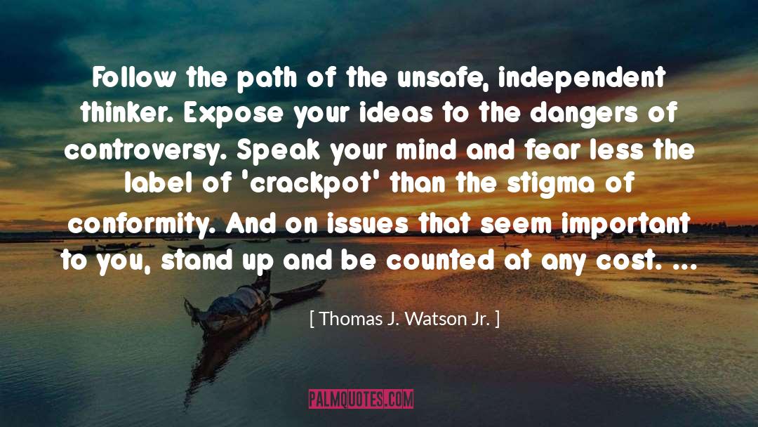 Be Counted quotes by Thomas J. Watson Jr.