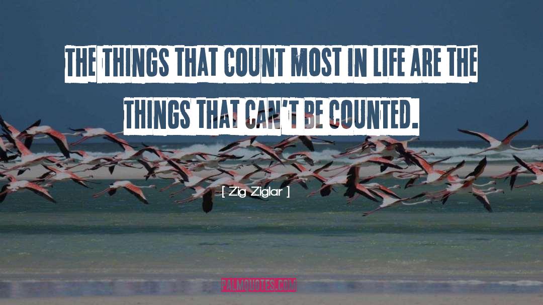 Be Counted quotes by Zig Ziglar