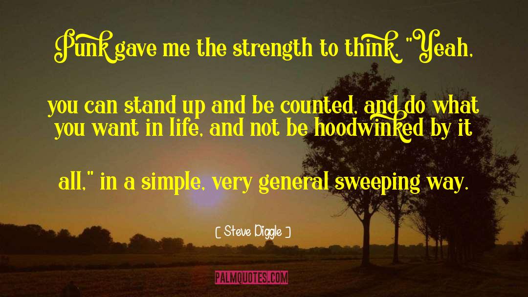 Be Counted quotes by Steve Diggle