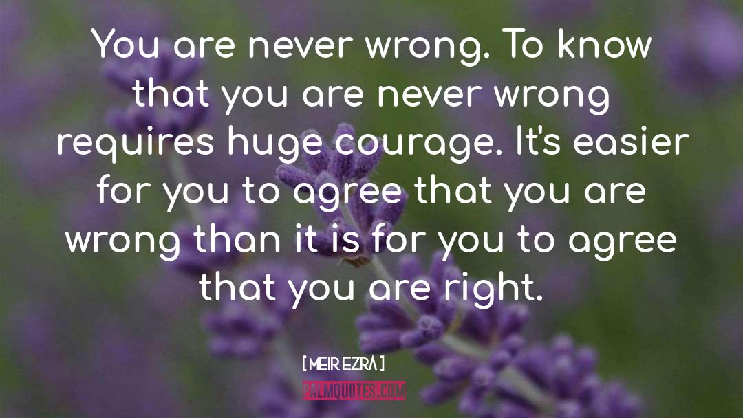 Be Courageous quotes by Meir Ezra