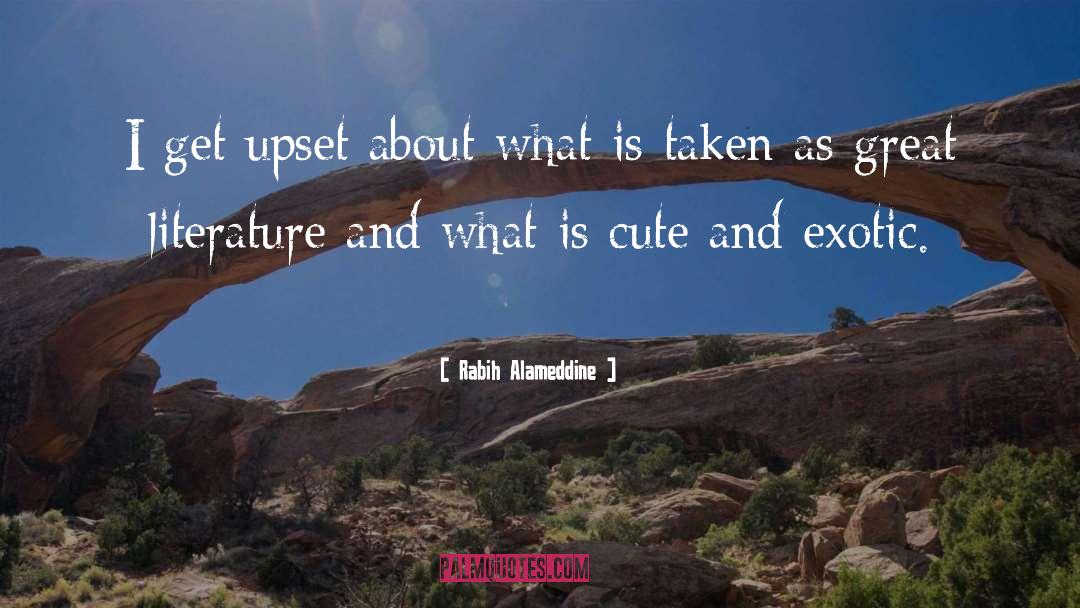 Be Cute quotes by Rabih Alameddine