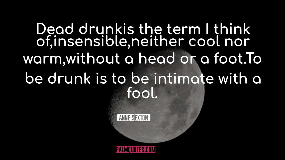 Be Drunk quotes by Anne Sexton