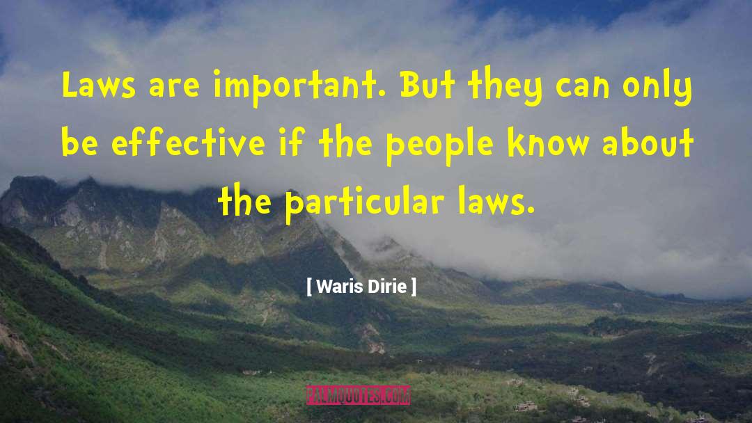 Be Effective quotes by Waris Dirie