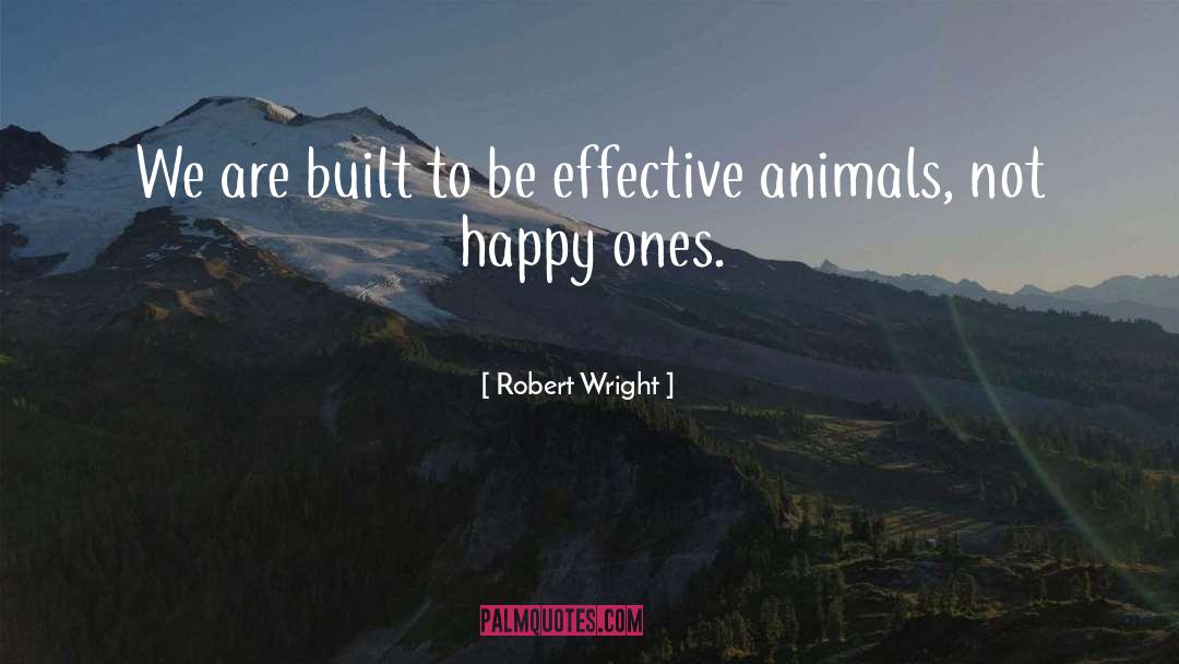 Be Effective quotes by Robert Wright