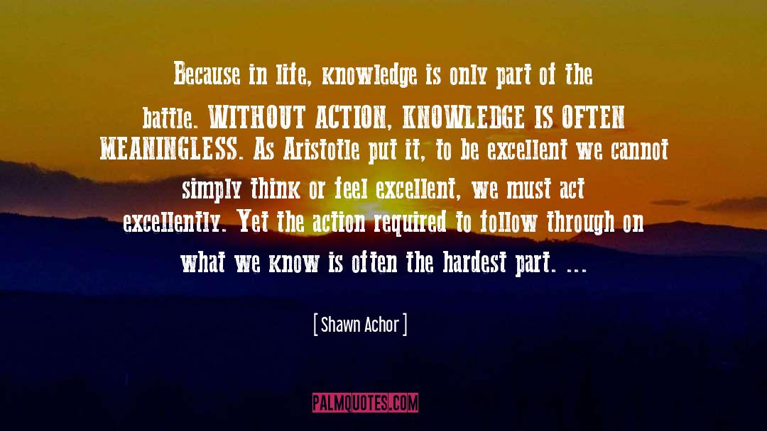 Be Excellent quotes by Shawn Achor