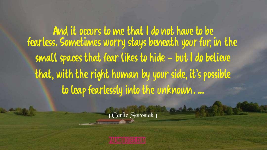 Be Fearless quotes by Carlie Sorosiak