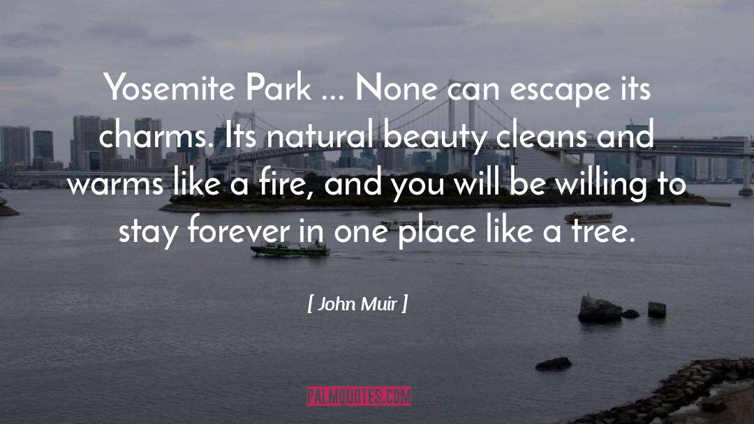 Be Forever Green quotes by John Muir
