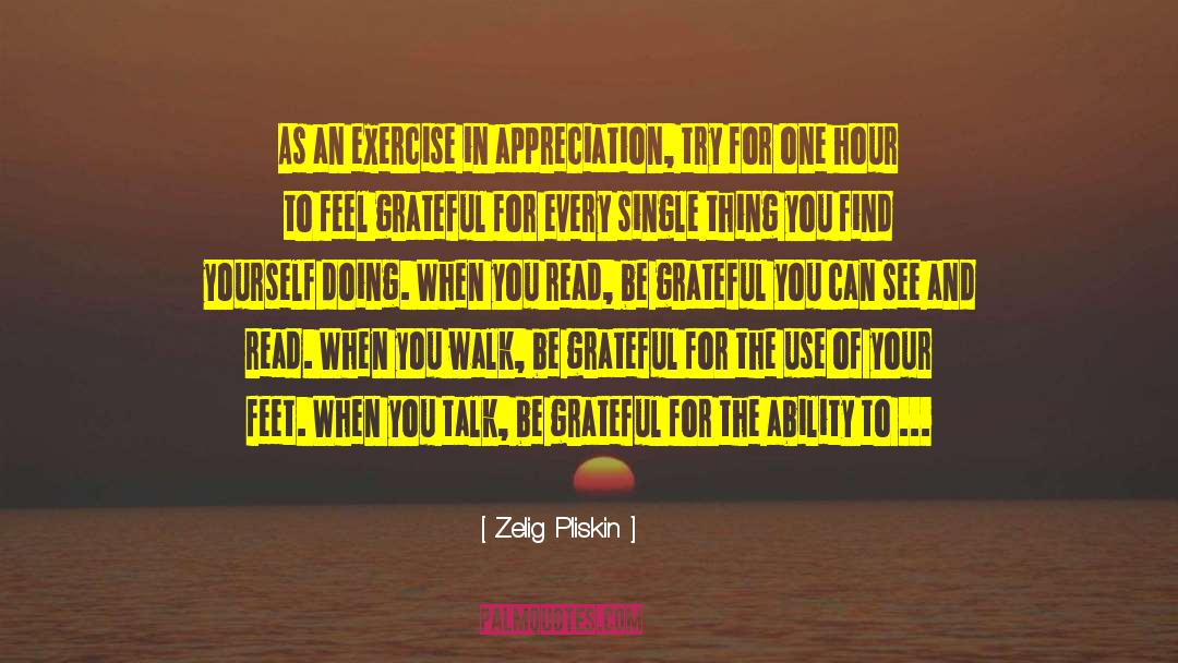 Be Grateful For Your Life quotes by Zelig Pliskin